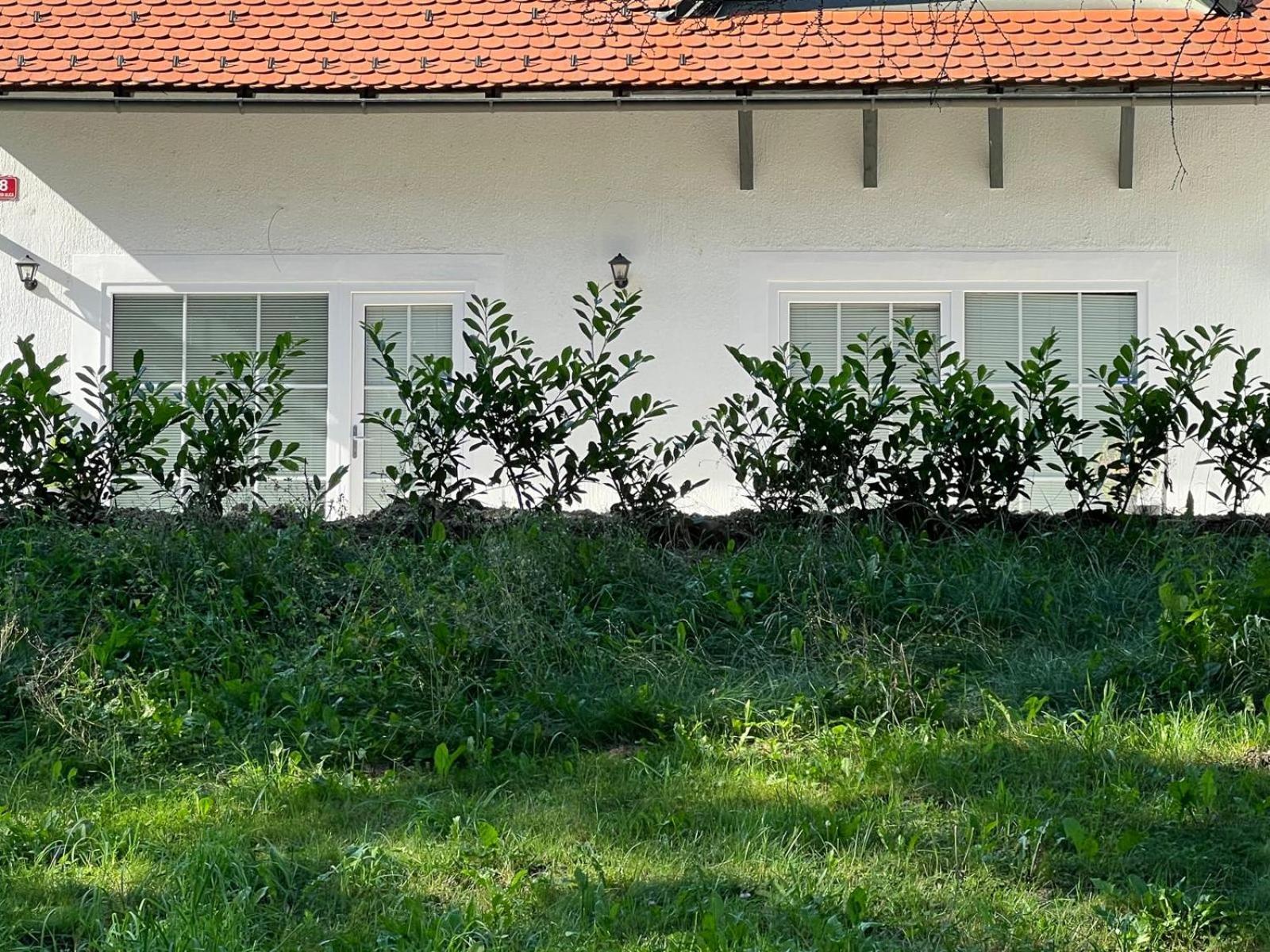 Centralpark Suites Maribor Exteriör bild